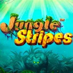 Jungle Stripes