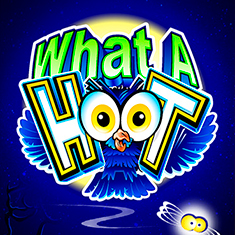 What a Hoot